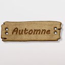 bouton bois au ptit bonheur - la cigogne qui brode